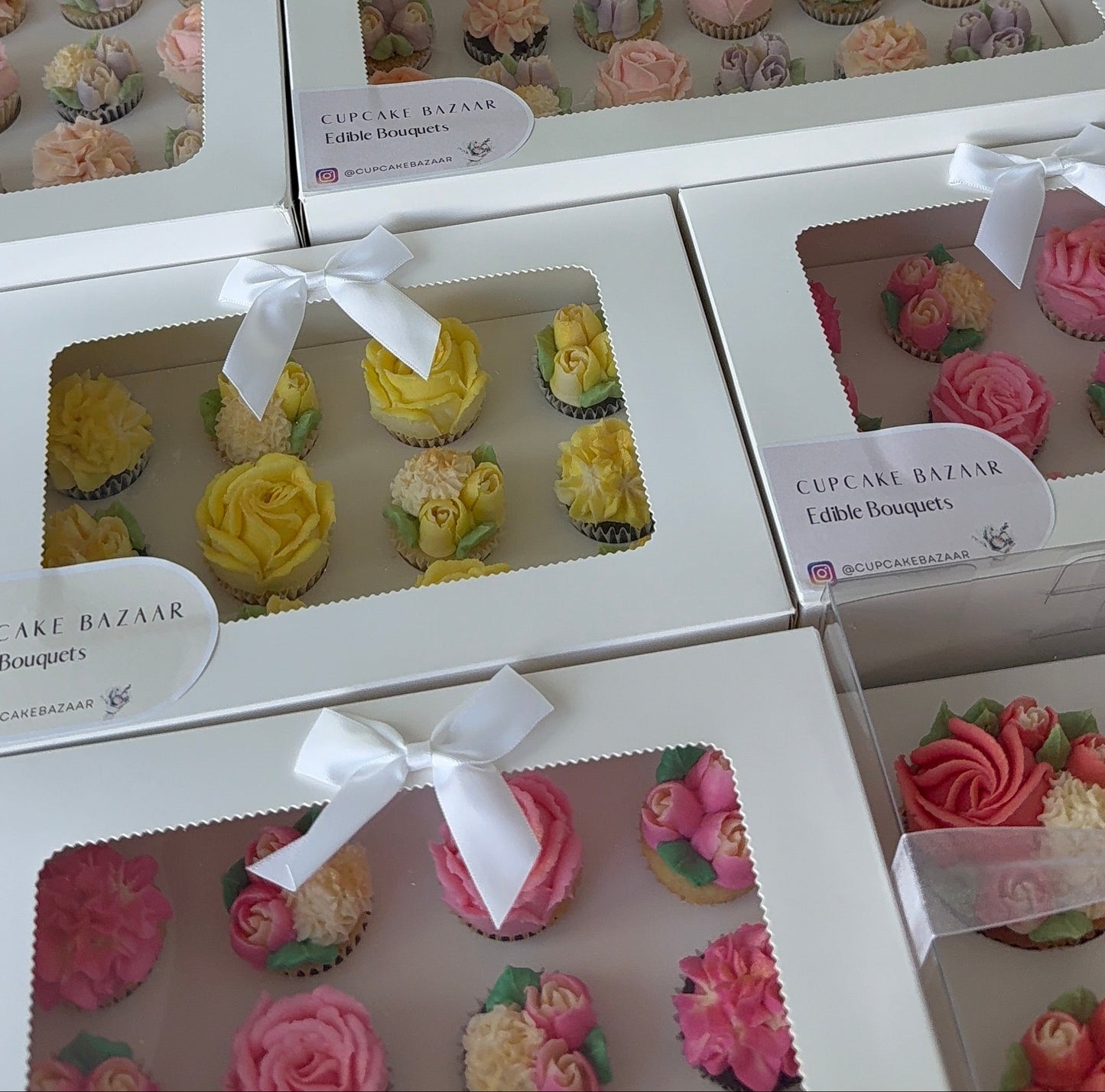 Luxury 12 Mini Window-Lid Cupcake Box - Pack of 10