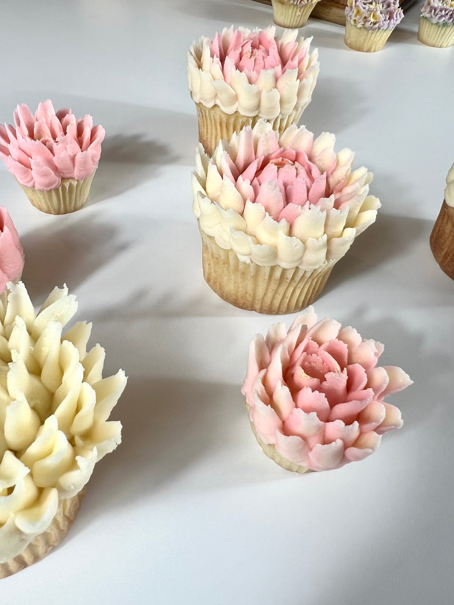 ULTIMATE BUNDLE DEAL (BEST VALUE) — Master the Art of Floral Cupcakes with These In-Depth Step-by-Step Tutorials