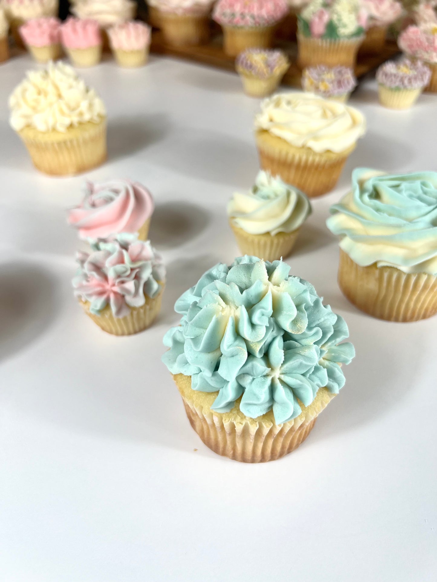 ULTIMATE BUNDLE DEAL (BEST VALUE) — Master the Art of Floral Cupcakes with These In-Depth Step-by-Step Tutorials