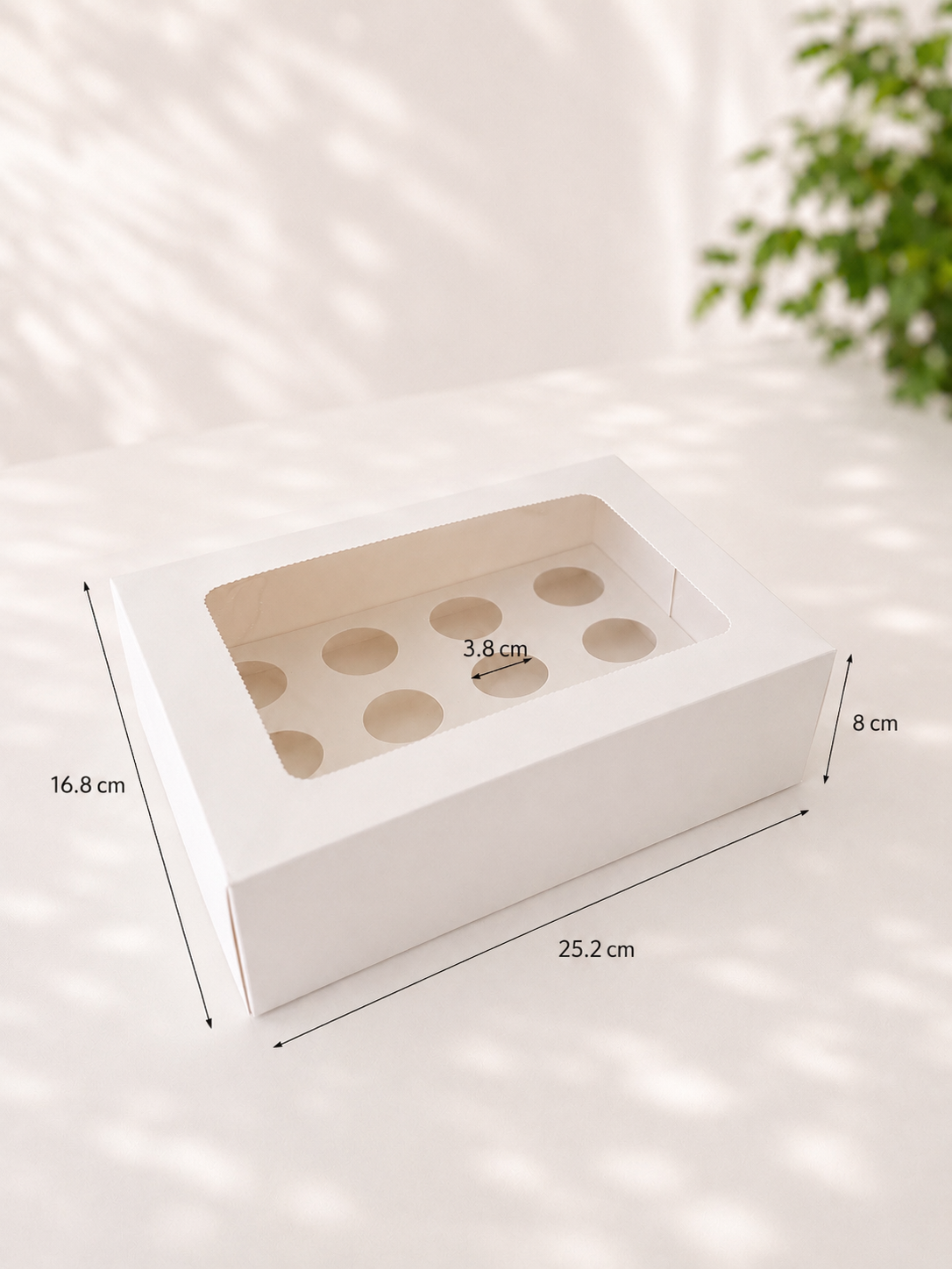 Luxury 12 Mini Window-Lid Cupcake Box - Pack of 10