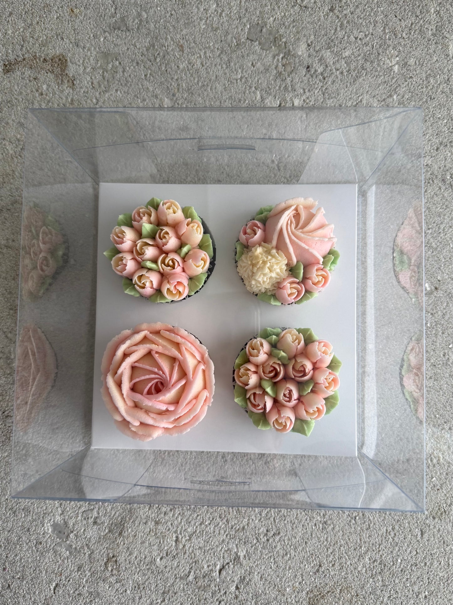 Luxury 4-Cupcake Clear Box - Set of 10