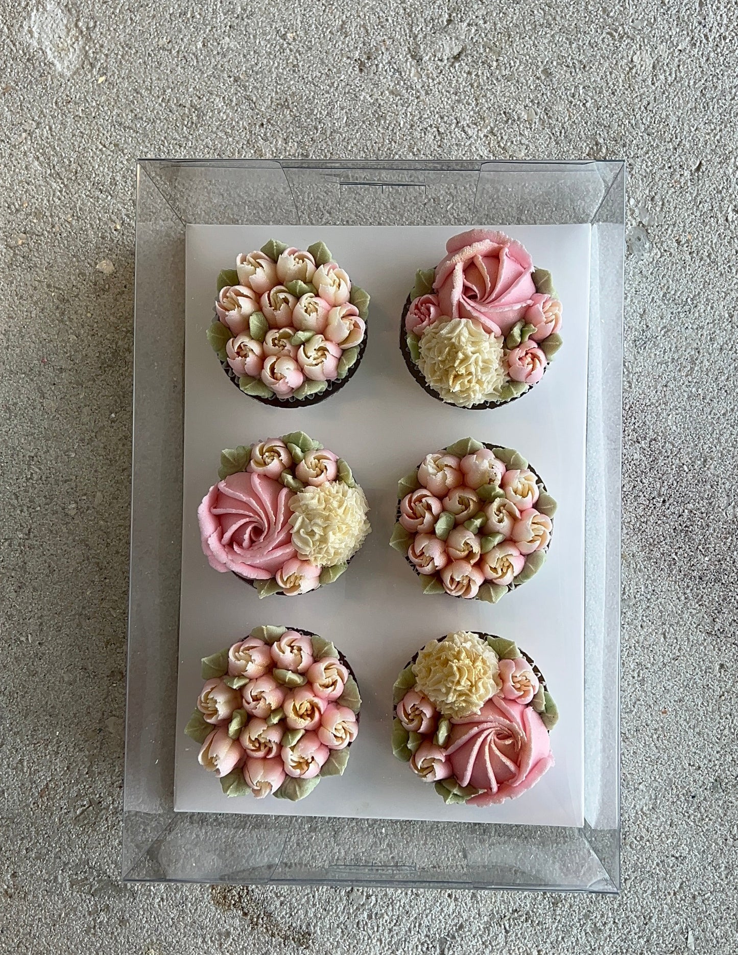 Luxury 6-Cupcake Clear Box - Set of 10