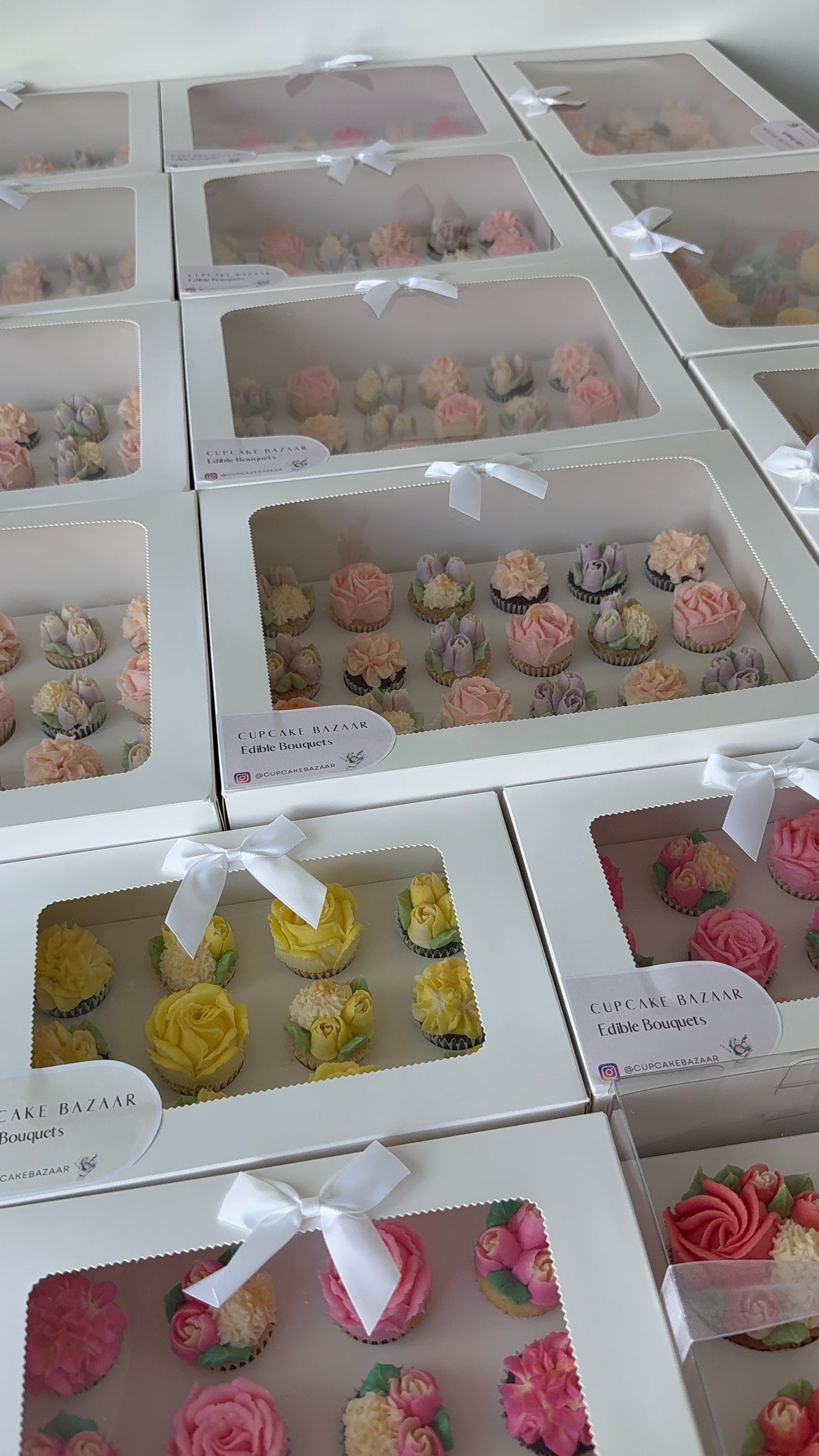 Luxury 24 Mini Window-Lid Cupcake Box - Pack of 10